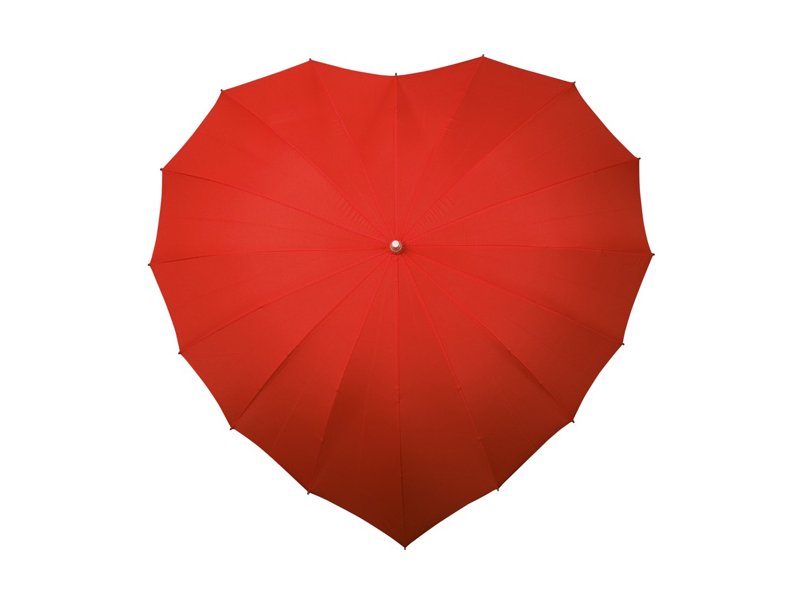 IMPLIVA - Hartvormige paraplu registered design - Handopening - Windproof -  110 cm