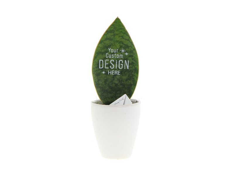 Message Printz® - Baby Leaf in giftbox