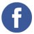 facebook1
