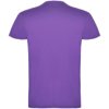 Roly kindershirt Beagle