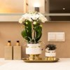 Botanical Giftset small - Luxury Gold Botanical Giftset small - Luxury Gold