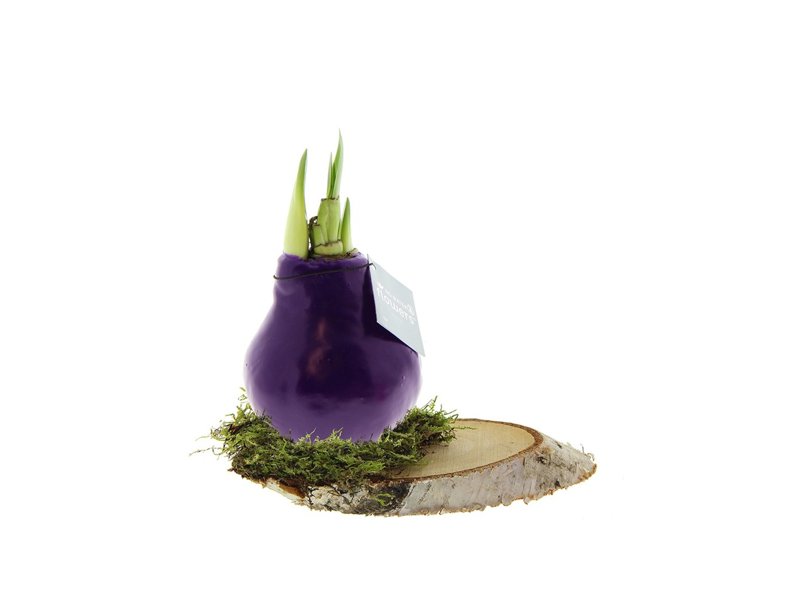 No Water Flowers® - Waxz® on wood No Water Flowers® - Waxz® on wood