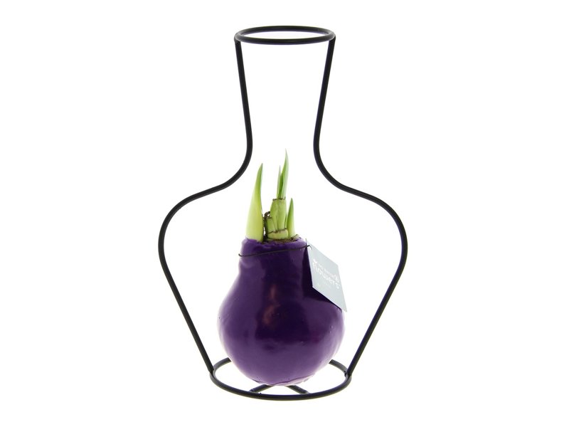 No Water Flowers® - Formz classic No Water Flowers® - Formz classic