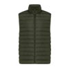 IQONIQ Meru heren gerecycled polyester bodywarmer