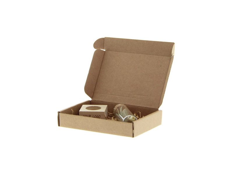 Luchtplantje op houtje in brievenbusdoos - small Luchtplantje op houtje in brievenbusdoos - small