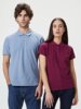 BS Evolution polo BS Evolution polo