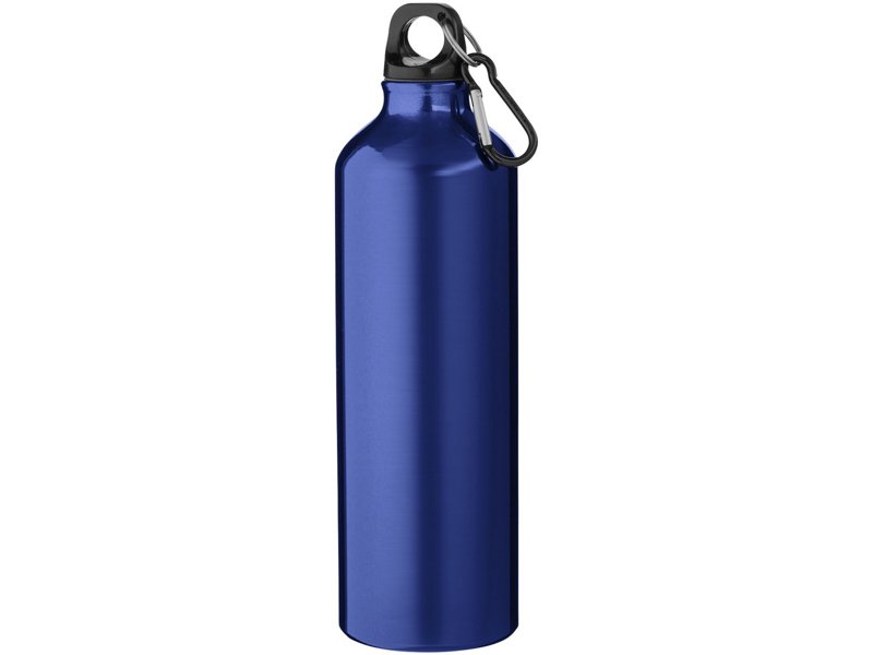 Recycle Oregon 770 ml waterfles met karabijnhaak