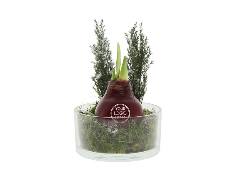 No Water Flowers® - Christmas glass elegance No Water Flowers® - Christmas glass elegance