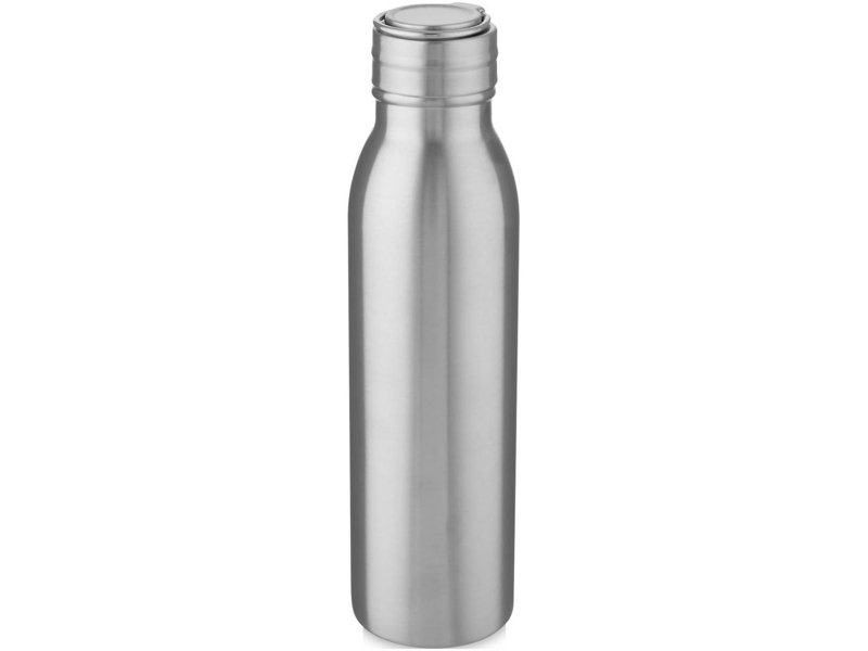 Harper 700 ml roestvrijstalen drinkfles met metalen lus Harper 700 ml roestvrijstalen drinkfles met metalen lus