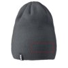 Level beanie Level beanie