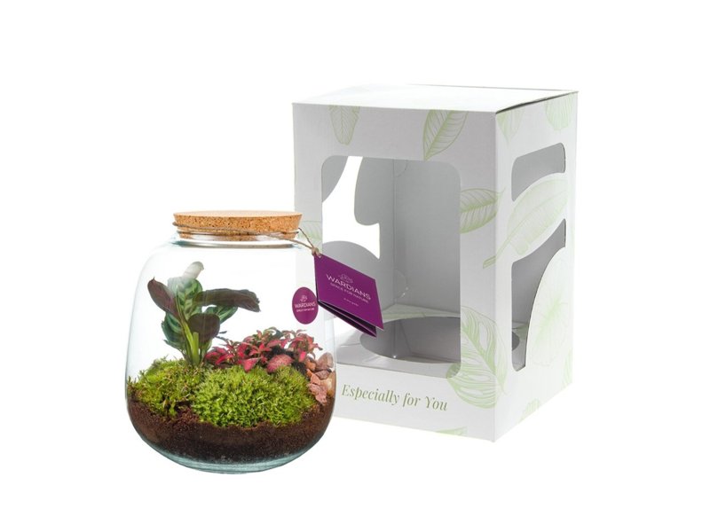 Wardians® ecosysteem - Sphere medium Wardians® ecosysteem - Sphere medium