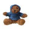 Teddybeer met hooded shirt: Leuk met uw logo