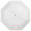 Alex 21,5'' opvouwbare automatische paraplu