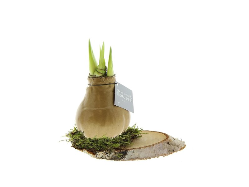 No Water Flowers® - Waxz® on wood No Water Flowers® - Waxz® on wood