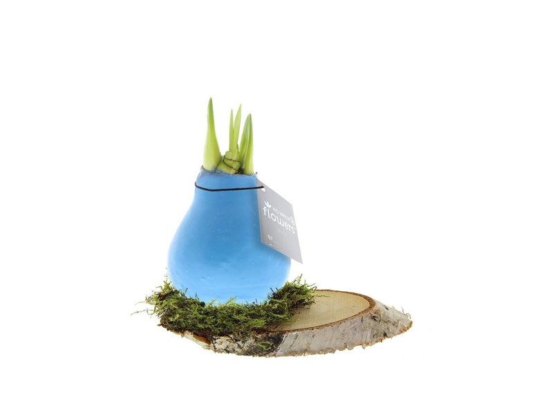 No Water Flowers® - Waxz® on wood No Water Flowers® - Waxz® on wood