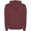Roly hoodie Urban voor heren