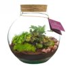 Wardians® ecosysteem - Bowl large