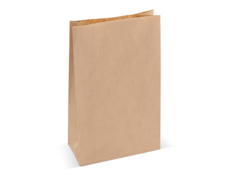 Papieren zak 70g/m² 22x10x30cm
