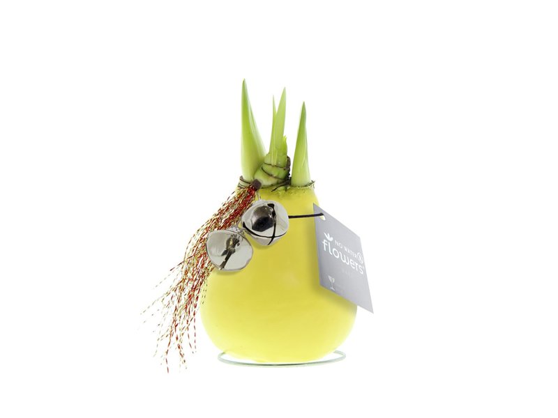 No Water Flowers® - Jingle Bellz No Water Flowers® - Jingle Bellz