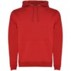 Roly hoodie Urban voor heren