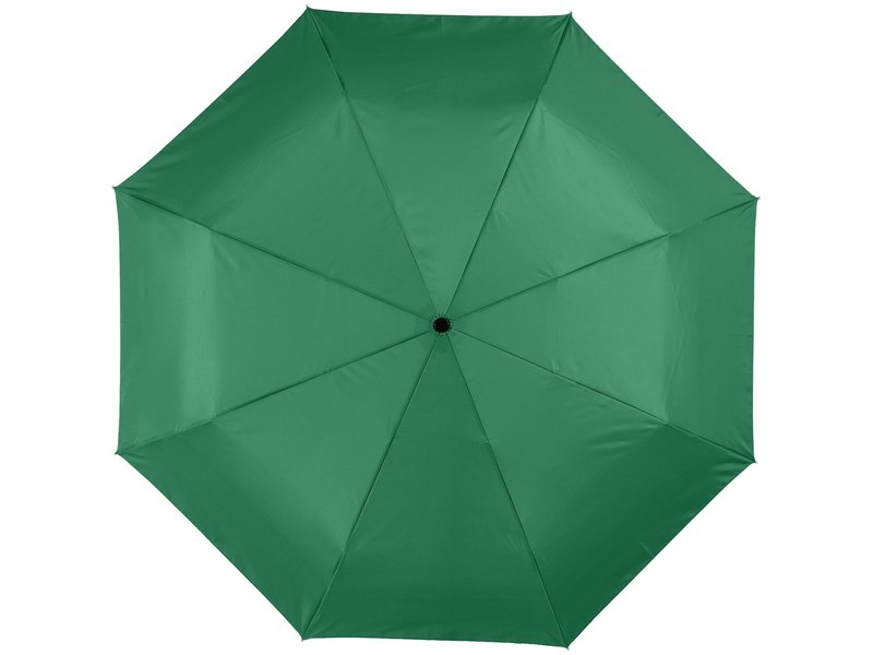 Alex 21,5'' opvouwbare automatische paraplu