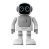 Robert de Dansende Robot Speaker Robert de Dansende Robot Speaker