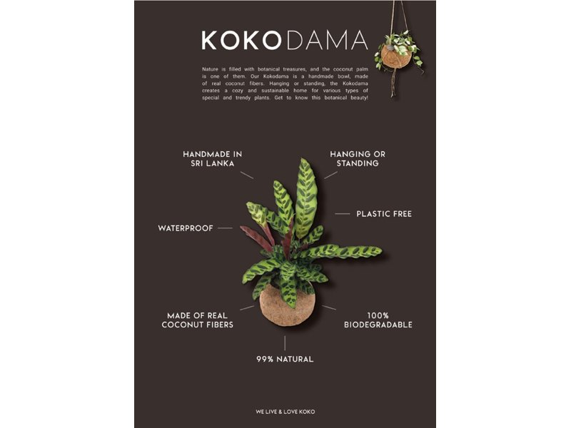 Kokodama® colourful mix (XS) Kokodama® colourful mix (XS)