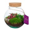 Wardians® ecosysteem - Bowl medium