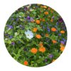 Bloemenzaad snijbloemen 4 gram