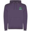 Roly hoodie Urban voor heren