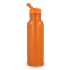 Darion thermo fles 500ml Darion thermo fles 500ml