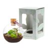 Wardians® ecosysteem - Bowl small