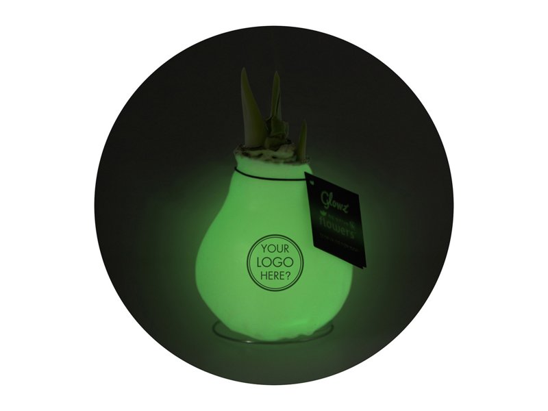 No Water Flowers® - Waxz® Glowz