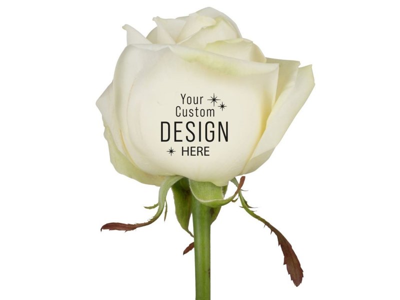 Message Printz Roos - Personaliseer Bloemrijk Jouw Boodschap