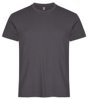 Basic t-shirts van Clique, ideaal om te bedrukken met uw logo Basic t-shirts van Clique, ideaal om te bedrukken met uw logo