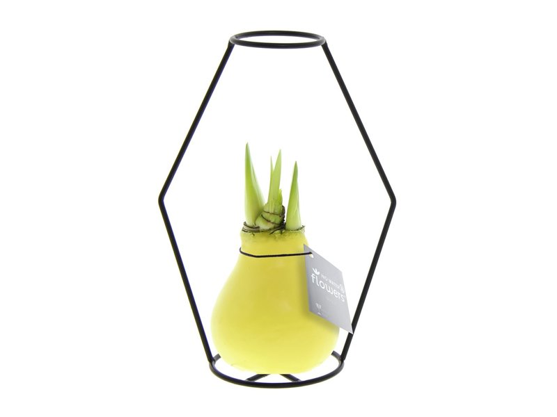 No Water Flowers® - Formz modern No Water Flowers® - Formz modern