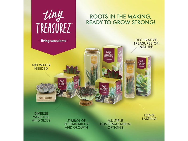 Tiny Treasurez® - Single wood in giftbox Tiny Treasurez® - Single wood in giftbox