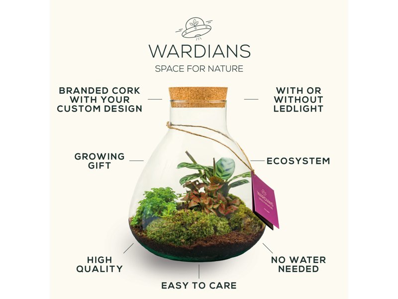 Wardians® ecosysteem - Bowl small