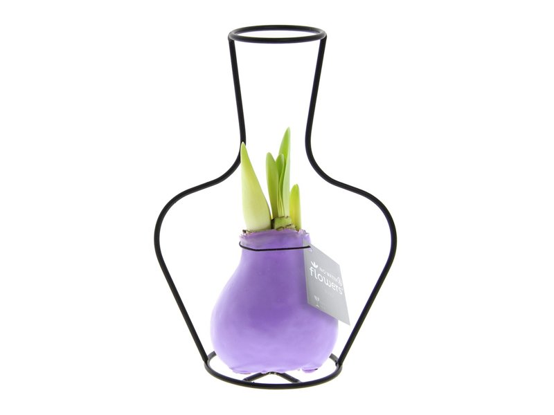 No Water Flowers® - Formz classic No Water Flowers® - Formz classic