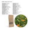 Bloemenzaad wilde bloemen 4 gram