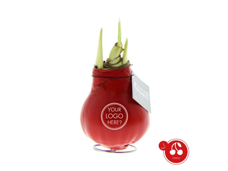 No Water Flowers® - Waxz® Parfumz No Water Flowers® - Waxz® Parfumz