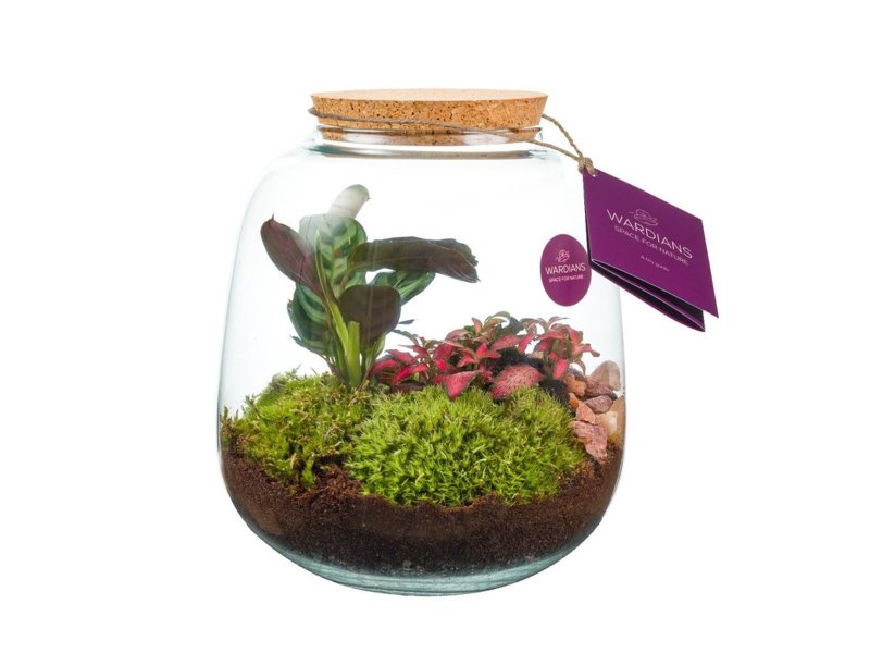 Wardians® ecosysteem - Sphere medium