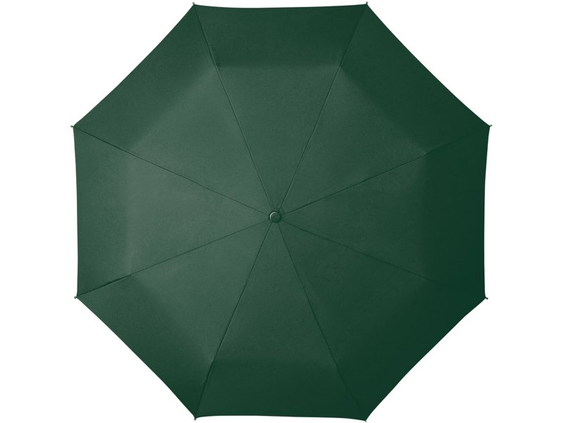 miniMAX paraplu | automatisch open- en sluitsysteem.