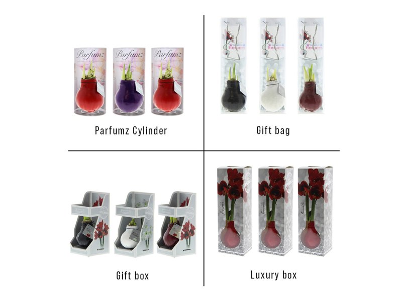 No Water Flowers® - Waxz® Parfumz No Water Flowers® - Waxz® Parfumz