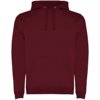 Roly hoodie Urban voor heren