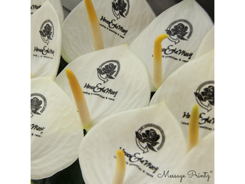 Message Printz® - Snijanthurium