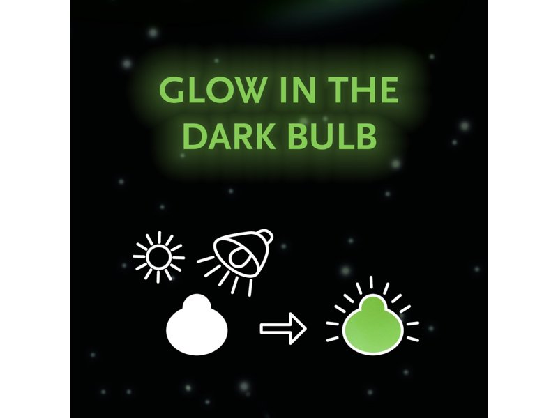 No Water Flowers® - Waxz® Glowz No Water Flowers® - Waxz® Glowz