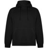 Roly unisex Vinson hoodie