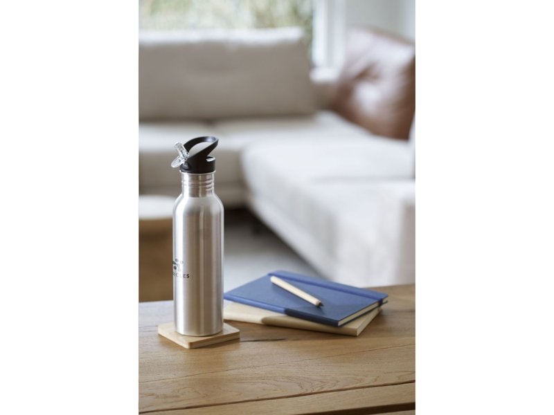 Dakota Recycled Steel Bottle 750 ml