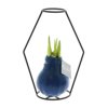 No Water Flowers® - Formz modern No Water Flowers® - Formz modern